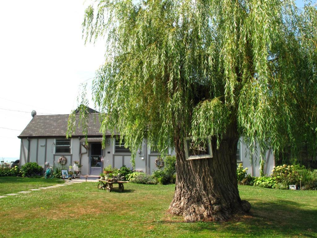 Omstead's On Erie B&B Wheatley Exterior foto